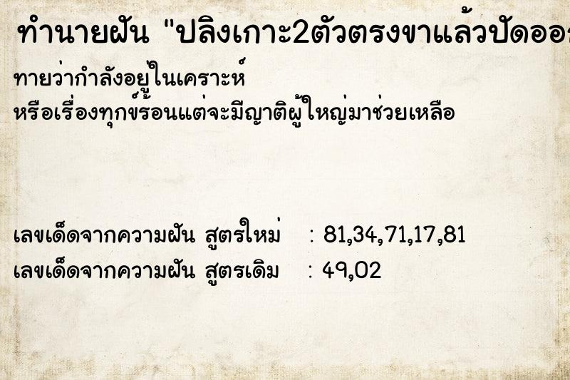 ทำนายฝันปลิงเกาะ2ตัวตรงขาแล้วปัดออกไป ทำนายฝันทำนายฝันปลิงเกาะ2ตัวตรงขาแล้วปัดออกไป