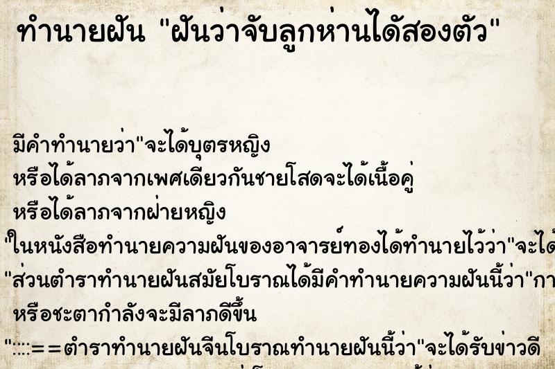 ทำนายฝันฝันว่าจับลูกห่านไดัสองตัว ทำนายฝันทำนายฝันฝันว่าจับลูกห่านไดัสองตัว