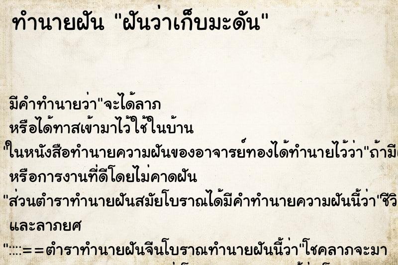 ทำนายฝัน ฝันว่าเก็บมะดัน ทำนายฝัน ฝันว่าเก็บมะดัน