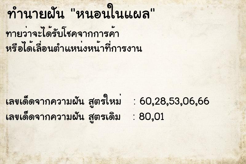 ทำนายฝัน หนอนในแผล ทำนายฝัน หนอนในแผล