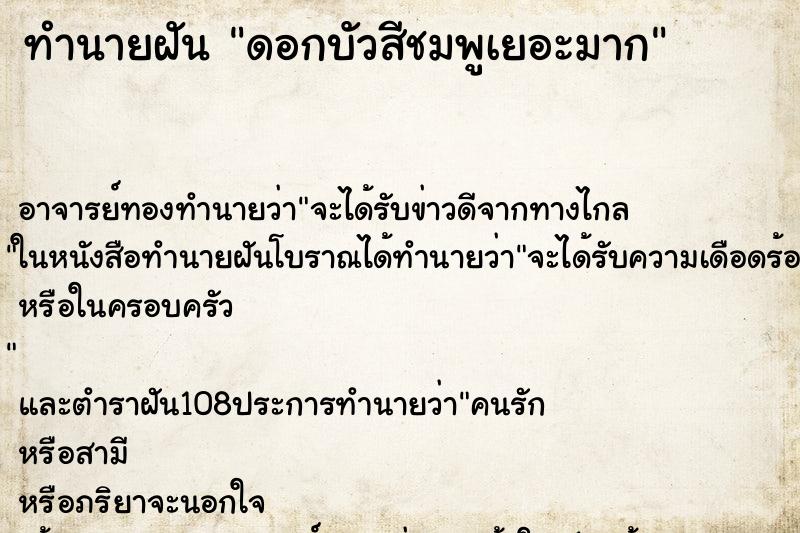 ทำนายฝัน ดอกบัวสีชมพูเยอะมาก ทำนายฝัน ดอกบัวสีชมพูเยอะมาก