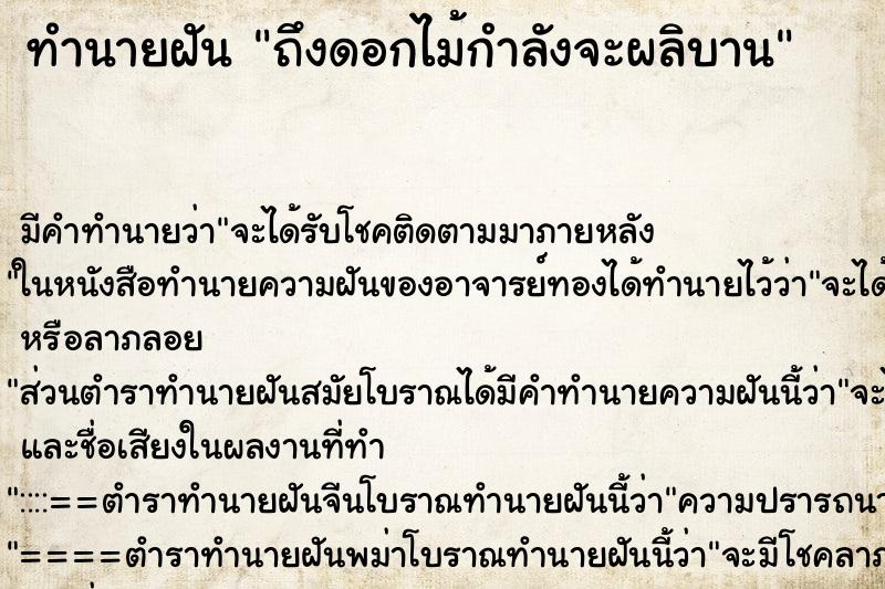 ทำนายฝันถึงดอกไม้กำลังจะผลิบาน ทำนายฝันทำนายฝันถึงดอกไม้กำลังจะผลิบาน