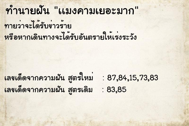 ทำนายฝันทำนายฝันเเมงคามเยอะมาก