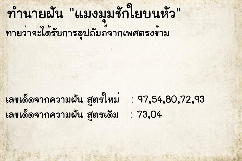 ทำนายฝันทำนายฝันแมงมุมชักใยบนหัว