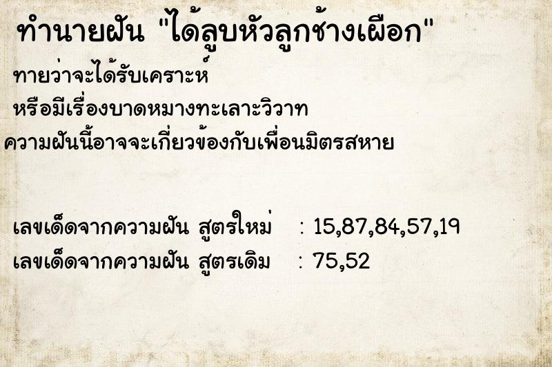 ทำนายฝันได้ลูบหัวลูกช้างเผือก ทำนายฝันทำนายฝันได้ลูบหัวลูกช้างเผือก