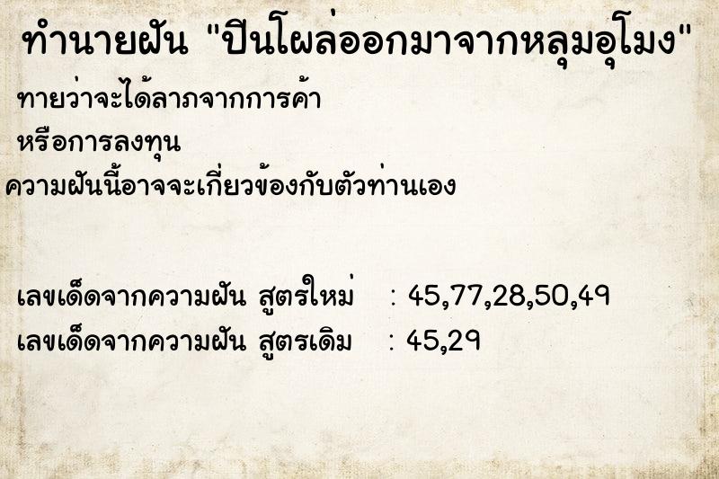 ทำนายฝัน ปีนโผล่ออกมาจากหลุมอุโมง ทำนายฝัน ปีนโผล่ออกมาจากหลุมอุโมง