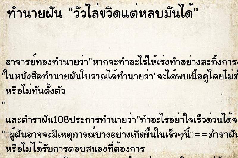 ทำนายฝัน วัวไล่ขวิดแต่หลบมันได้ ตำราโบราณ แม่นที่สุดในโลก