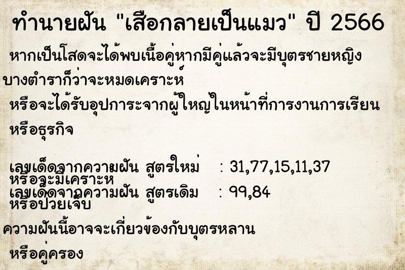 ทำนายฝัน เสือกลายเป็นแมว ทำนายฝัน เสือกลายเป็นแมว