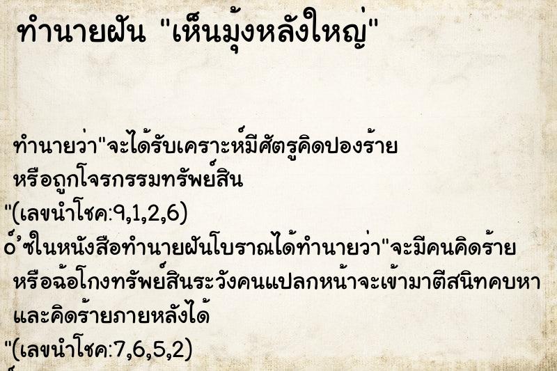 ทำนายฝัน เห็นมุ้งหลังใหญ่