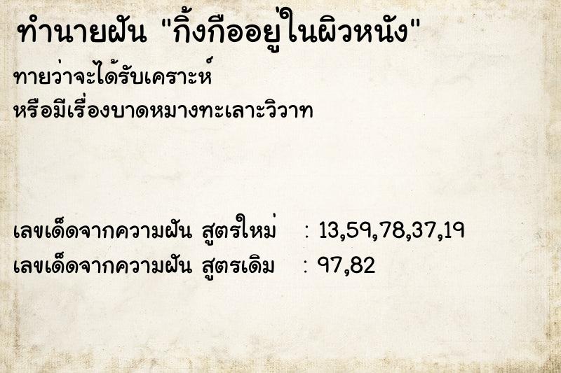 ทำนายฝันกิ้งกืออยู่ในผิวหนัง ทำนายฝันทำนายฝันกิ้งกืออยู่ในผิวหนัง