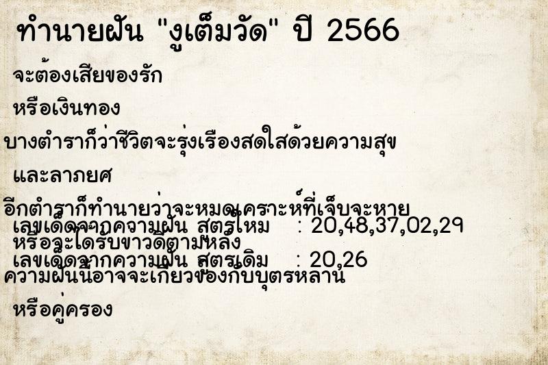 ทำนายฝัน งูเต็มวัด ทำนายฝัน งูเต็มวัด