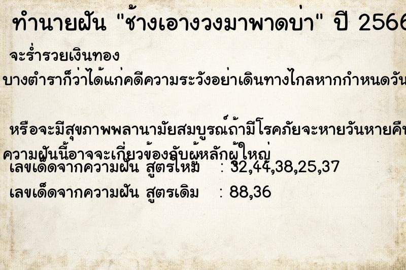 ทำนายฝันช้างเอางวงมาพาดบ่า ทำนายฝันทำนายฝันช้างเอางวงมาพาดบ่า