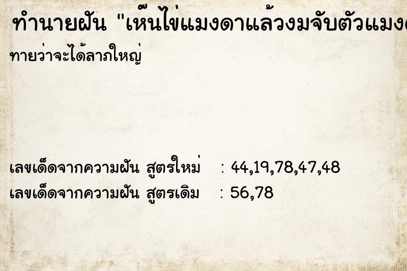 ทำนายฝันทำนายฝันเห๊นไข่แมงดาแล้วงมจับตัวแมงดาได้