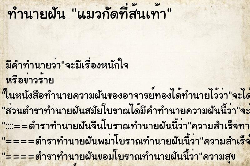 ทำนายฝัน แมวกัดที่ส้นเท้า ทำนายฝัน แมวกัดที่ส้นเท้า