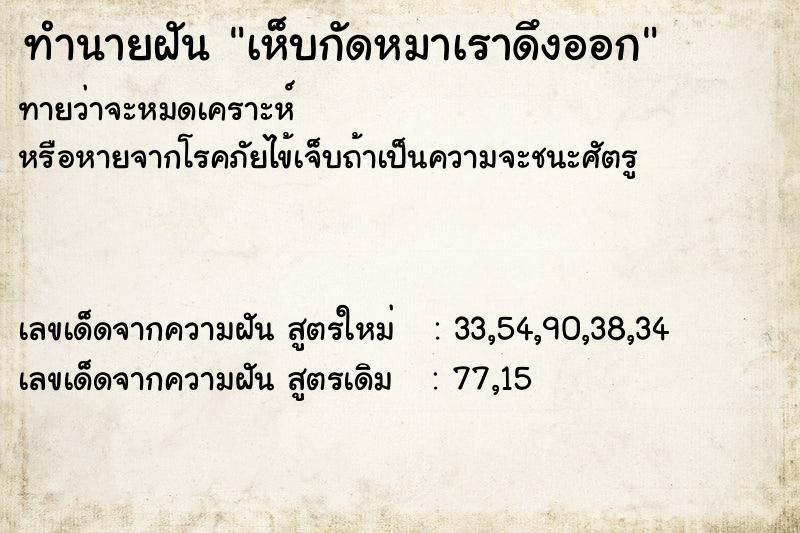 ทำนายฝันทำนายฝันเห็บกัดหมาเราดึงออก