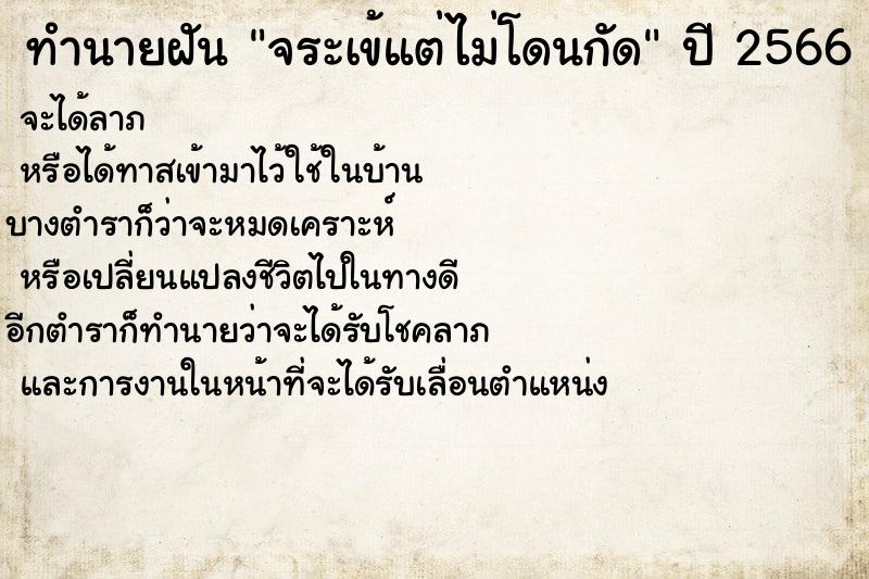ทำนายฝัน จระเข้แต่ไม่โดนกัด แม่นๆ ฟรี ด้วยตำราหนังสือทำนายฝันโบราณ ทำนายฝันจระเข้แต่ไม่โดนกัด