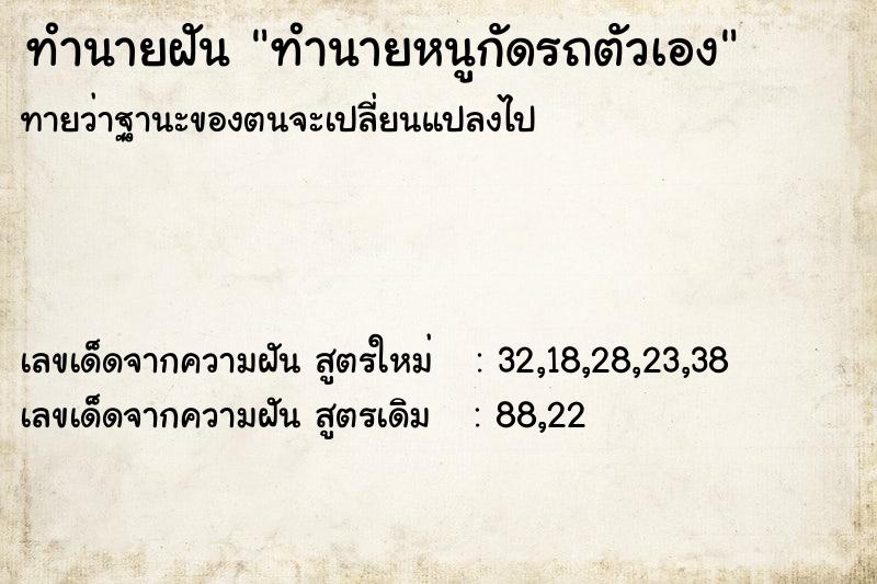 ทำนายฝันทำนายหนูกัดรถตัวเอง ทำนายฝันทำนายฝันทำนายหนูกัดรถตัวเอง