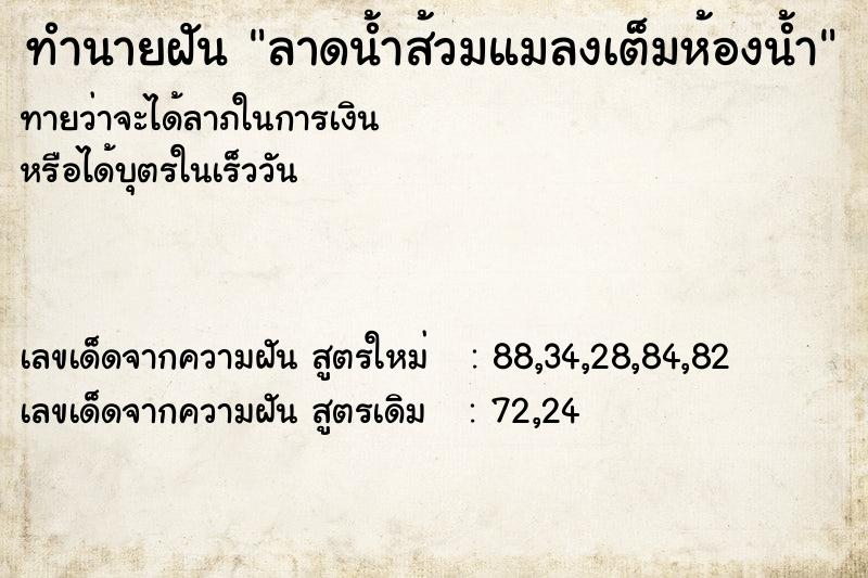 ทำนายฝันลาดน้ำส้วมแมลงเต็มห้องน้ำ ทำนายฝันทำนายฝันลาดน้ำส้วมแมลงเต็มห้องน้ำ