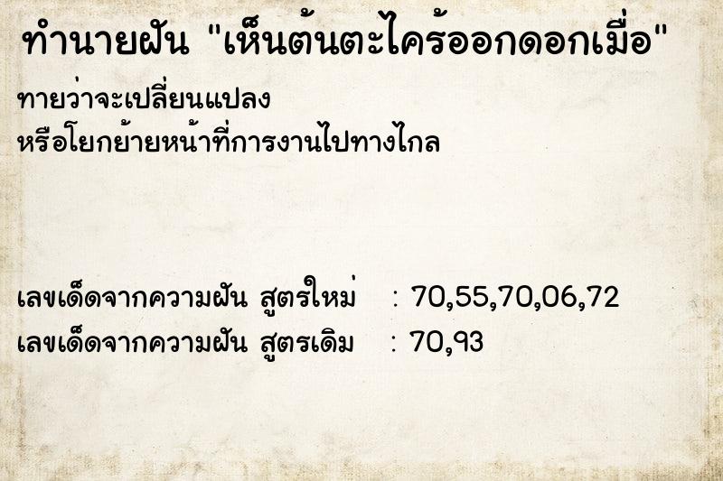 ทำนายฝัน เห็นต้นตะไคร้ออกดอกเมื่อ ทำนายฝัน เห็นต้นตะไคร้ออกดอกเมื่อ