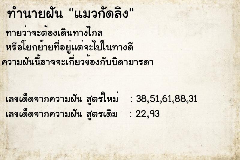ทำนายฝัน แมวกัดลิง ทำนายฝัน แมวกัดลิง