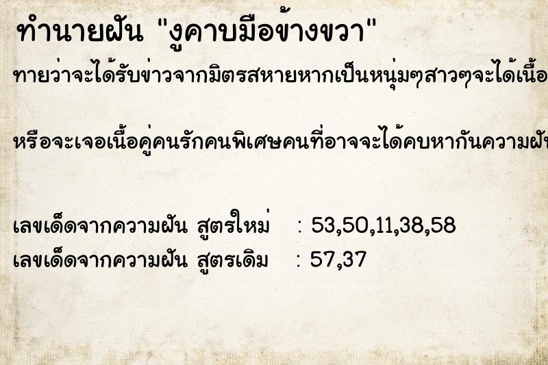 ทำนายฝันงูคาบมือข้างขวา ทำนายฝันทำนายฝันงูคาบมือข้างขวา