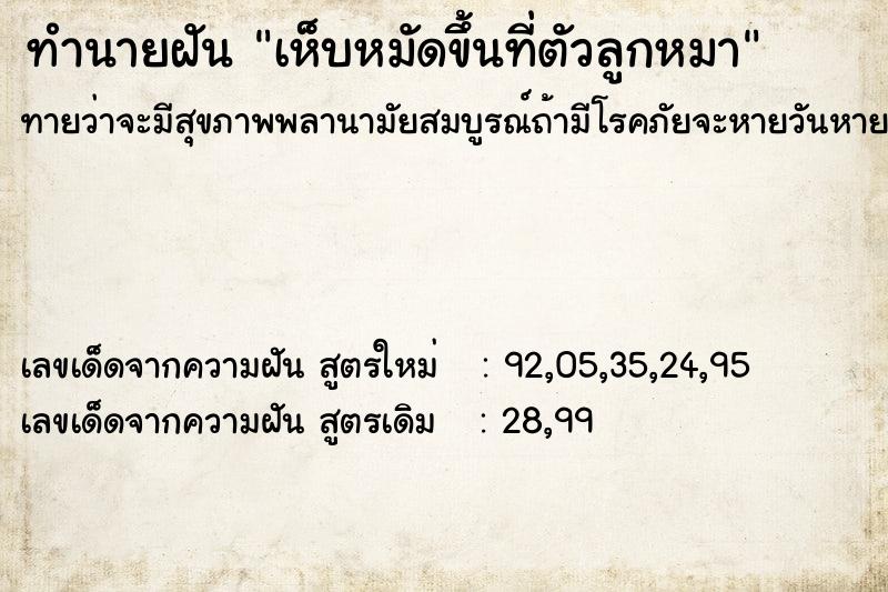 ทำนายฝันเห็บหมัดขึ้นท่ีตัวลูกหมา ทำนายฝันทำนายฝันเห็บหมัดขึ้นท่ีตัวลูกหมา