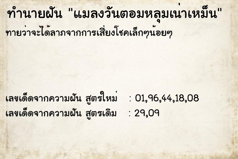 ทำนายฝันทำนายฝันแมลงวันตอมหลุมเน่าเหม็น