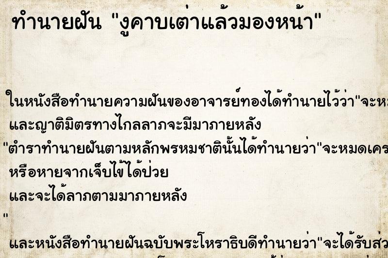 ทำนายฝัน งูคาบเต่าแล้วมองหน้า