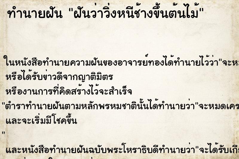 ทำนายฝันฝันว่าวิ่งหนีช้างขึ้นต้นไม้ ทำนายฝันทำนายฝันฝันว่าวิ่งหนีช้างขึ้นต้นไม้