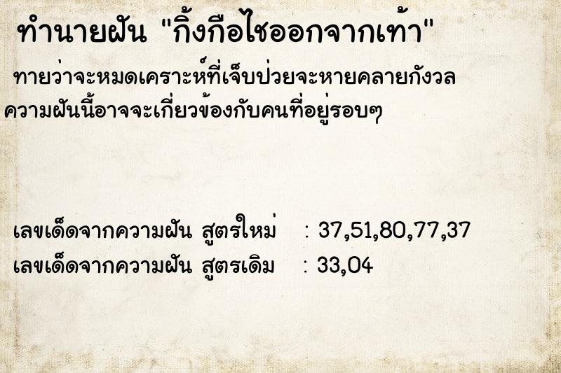 ทำนายฝันทำนายฝันกิ้งกือไชออกจากเท้า