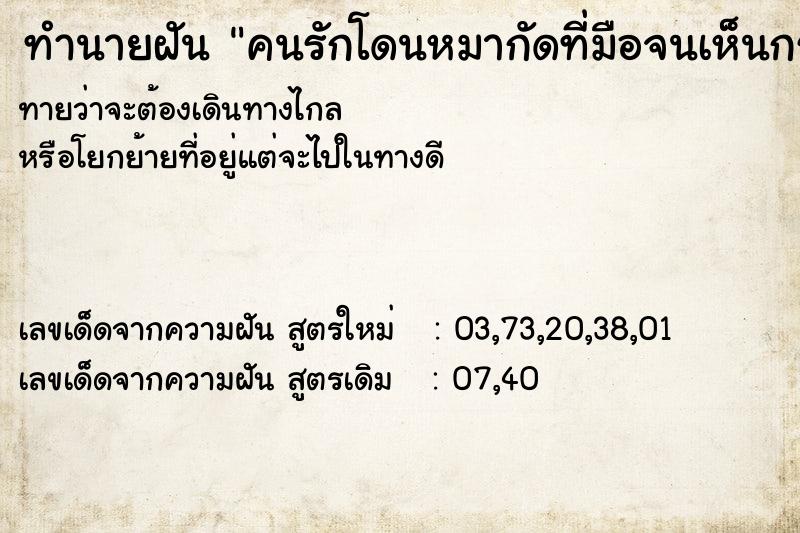 ทำนายฝัน คนรักโดนหมากัดที่มือจนเห็นกระดูก ทำนายฝัน คนรักโดนหมากัดที่มือจนเห็นกระดูก