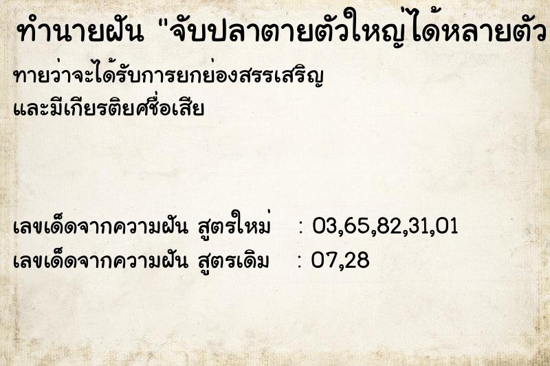 ทำนายฝันจับปลาตายตัวใหญ่ได้หลายตัว ทำนายฝันทำนายฝันจับปลาตายตัวใหญ่ได้หลายตัว