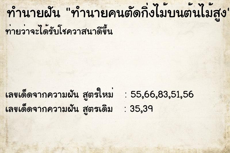 ทำนายฝันทำนายคนตัดกิ่งไม้บนต้นไม้สูง ทำนายฝันทำนายฝันทำนายคนตัดกิ่งไม้บนต้นไม้สูง