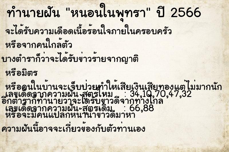 ทำนายฝันทำนายฝันหนอนในพุทรา