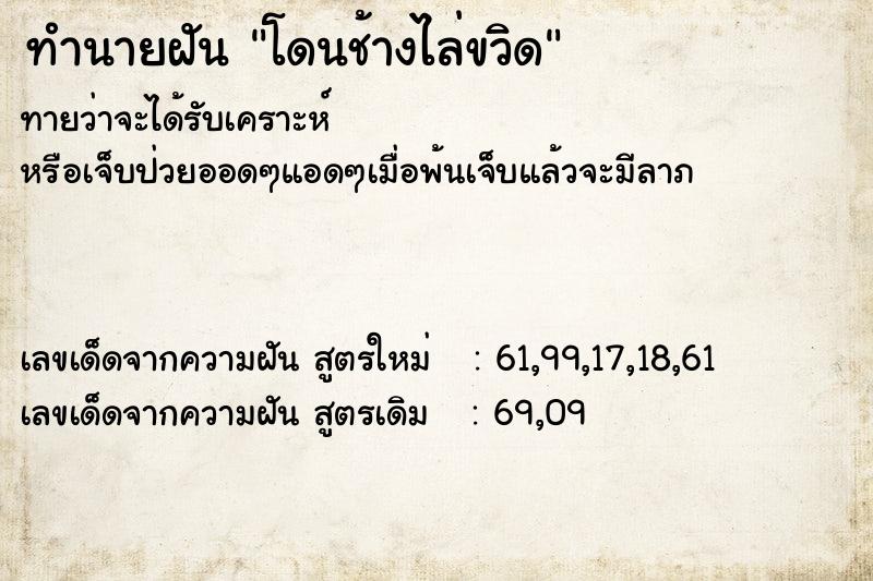 ทำนายฝันโดนช้างไล่ขวิด ทำนายฝันทำนายฝันโดนช้างไล่ขวิด