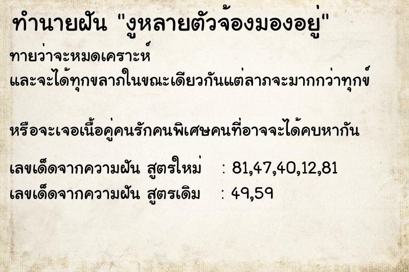 ทำนายฝันงูหลายตัวจ้องมองอยู่ ทำนายฝันทำนายฝันงูหลายตัวจ้องมองอยู่