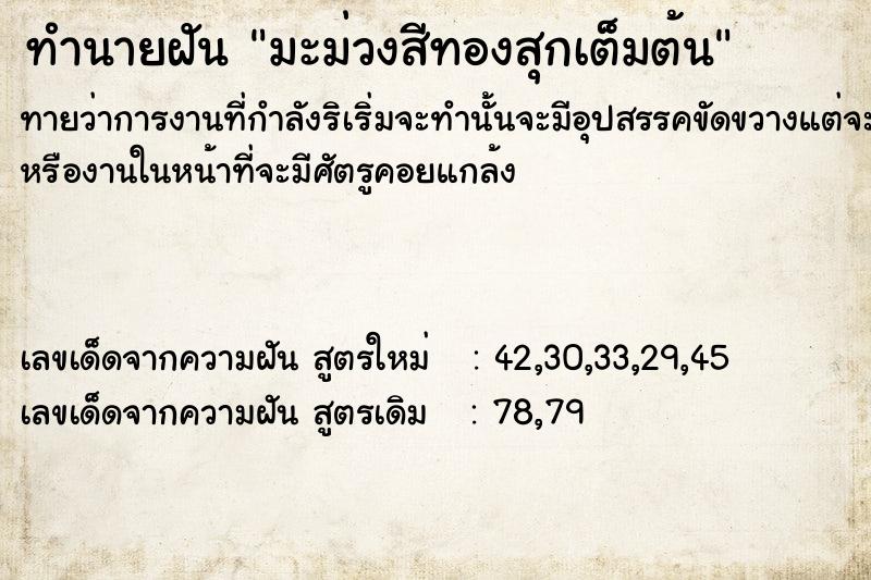 ทำนายฝัน มะม่วงสีทองสุกเต็มต้น ทำนายฝัน มะม่วงสีทองสุกเต็มต้น