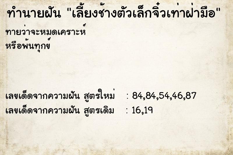 ทำนายฝันเลี้ยงช้างตัวเล็กจิ๋วเท่าฝ่ามือ ทำนายฝันทำนายฝันเลี้ยงช้างตัวเล็กจิ๋วเท่าฝ่ามือ