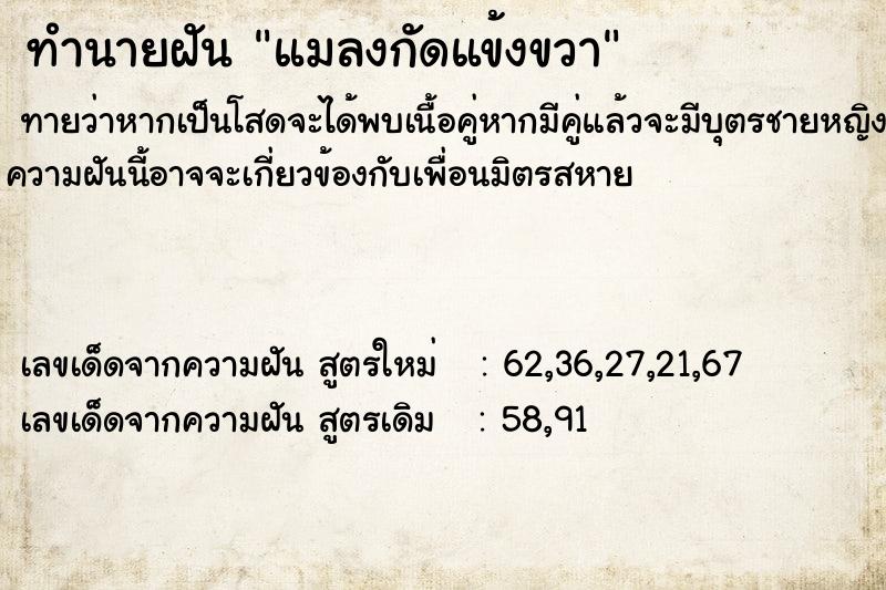 ทำนายฝันทำนายฝันแมลงกัดแข้งขวา