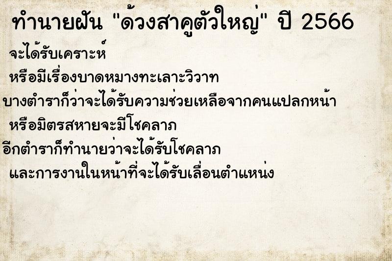 ทำนายฝัน ด้วงสาคูตัวใหญ่