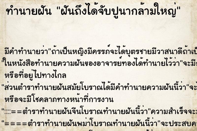 ทำนายฝันฝันถึงได้จับปูนากล้ามใหญ่ ทำนายฝันทำนายฝันฝันถึงได้จับปูนากล้ามใหญ่