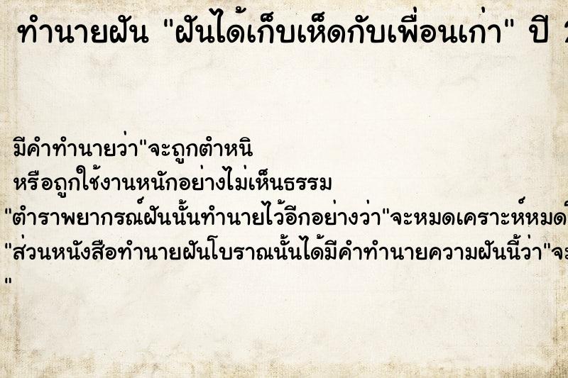 ทำนายฝัน ฝันได้เก็บเห็ดกับเพื่อนเก่า ทำนายฝัน ฝันได้เก็บเห็ดกับเพื่อนเก่า