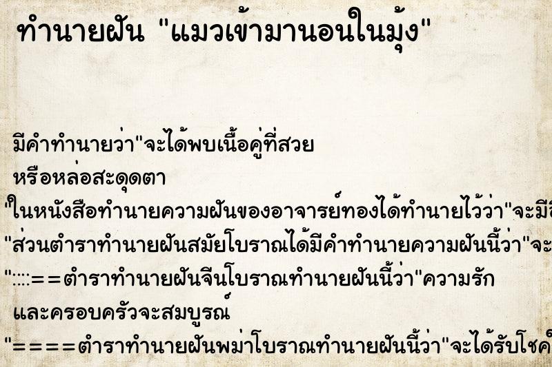 ทำนายฝัน แมวเข้ามานอนในมุ้งแม่นๆ ฟรี ด้วยตำราหนังสือทำนายฝันโบราณ ทำนายฝันแมวเข้ามานอนในมุ้ง