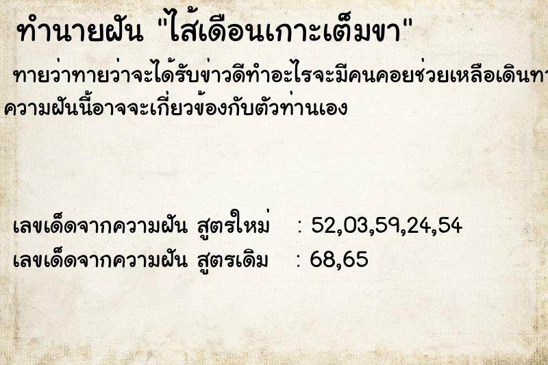 ทำนายฝันไส้เดือนเกาะเต็มขา ทำนายฝันทำนายฝันไส้เดือนเกาะเต็มขา