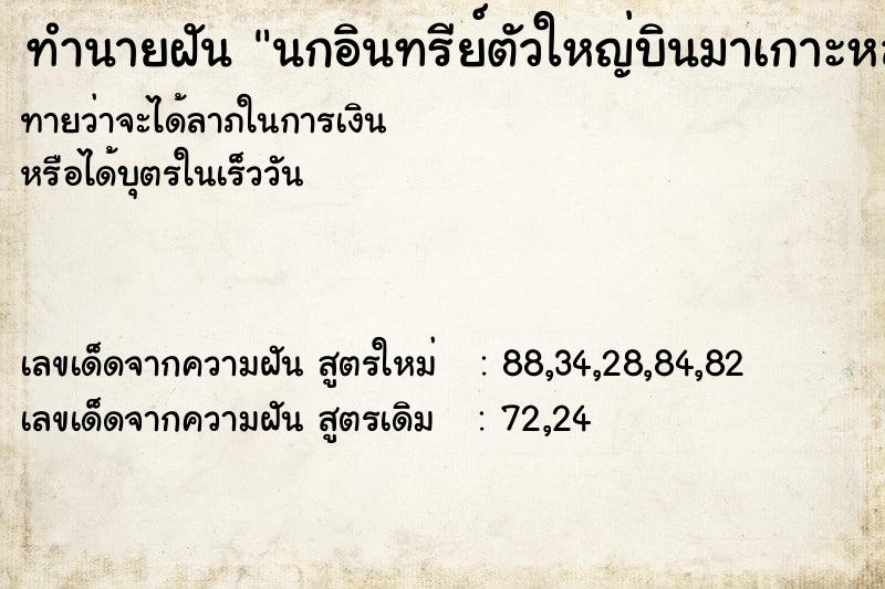 ทำนายฝันทำนายฝันนกอินทรีย์ตัวใหญ่บินมาเกาะหลัง