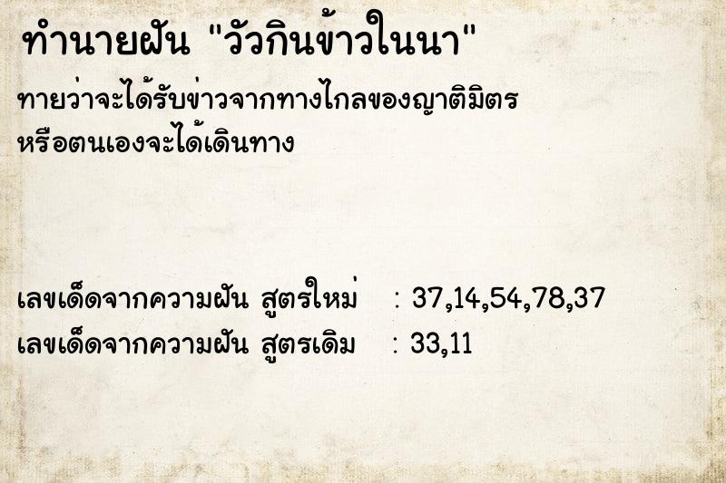 ทำนายฝัน วัวกินข้าวในนา ทำนายฝัน วัวกินข้าวในนา