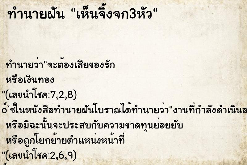 ทำนายฝัน เห็นจิ้งจก3หัว ทำนายฝัน เห็นจิ้งจก3หัว