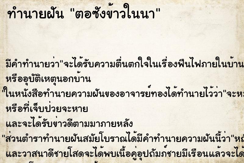 ทำนายฝันตอซังข้าวในนา ทำนายฝันทำนายฝันตอซังข้าวในนา