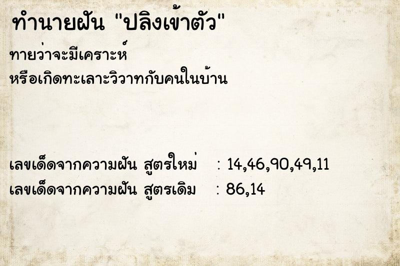 ทำนายฝันปลิงเข้าตัว ทำนายฝันทำนายฝันปลิงเข้าตัว