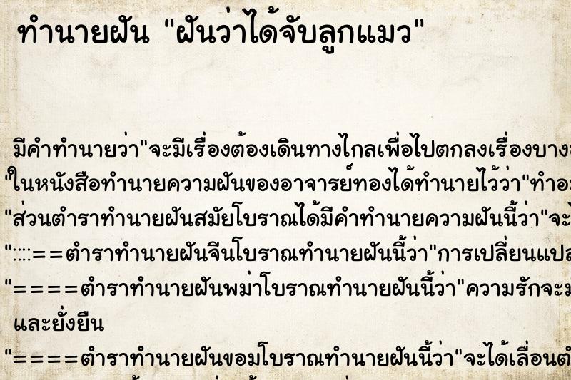 ทำนายฝัน ฝันว่าได้จับลูกแมว ทำนายฝัน ฝันว่าได้จับลูกแมว